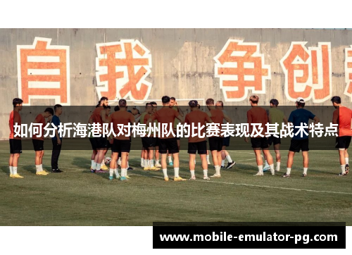 如何分析海港队对梅州队的比赛表现及其战术特点