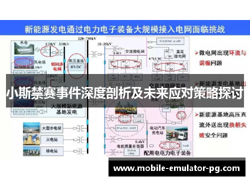 小斯禁赛事件深度剖析及未来应对策略探讨