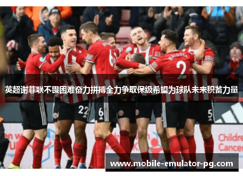 英超谢菲联不畏困难奋力拼搏全力争取保级希望为球队未来积蓄力量 英超谢菲联不畏困难奋力拼搏全力争取保级希望为球队未来积蓄力量