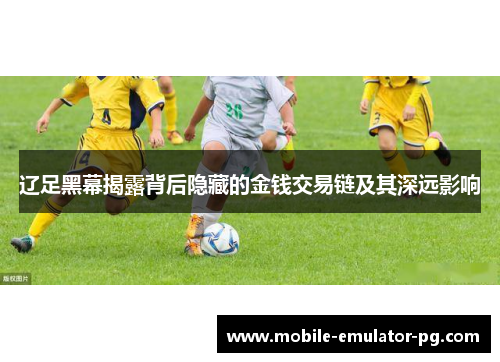 辽足黑幕揭露背后隐藏的金钱交易链及其深远影响