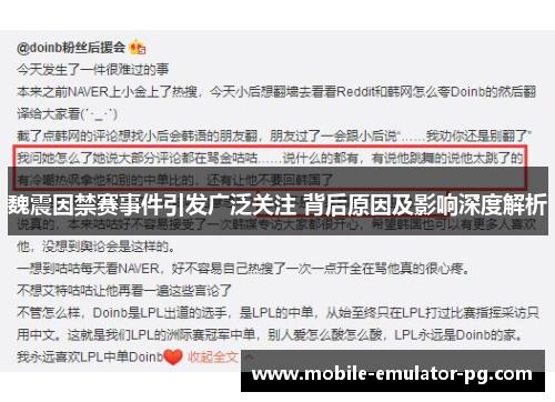 魏震因禁赛事件引发广泛关注 背后原因及影响深度解析