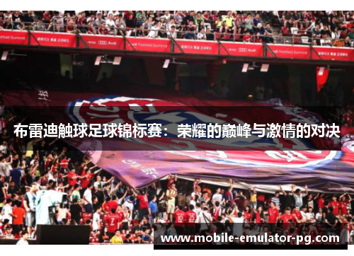 布雷迪触球足球锦标赛:荣耀的巅峰与激情的对决 布雷迪触球足球锦标赛:荣耀的巅峰与激情的对决
