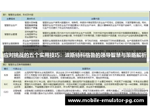 应对挑战的五个实用技巧：波斯特科格鲁的领导智慧与策略解析