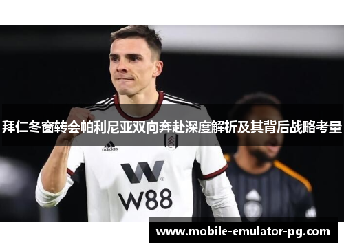 拜仁冬窗转会帕利尼亚双向奔赴深度解析及其背后战略考量